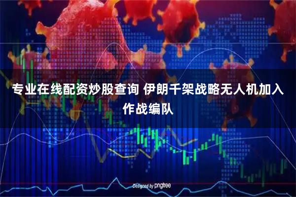 专业在线配资炒股查询 伊朗千架战略无人机加入作战编队